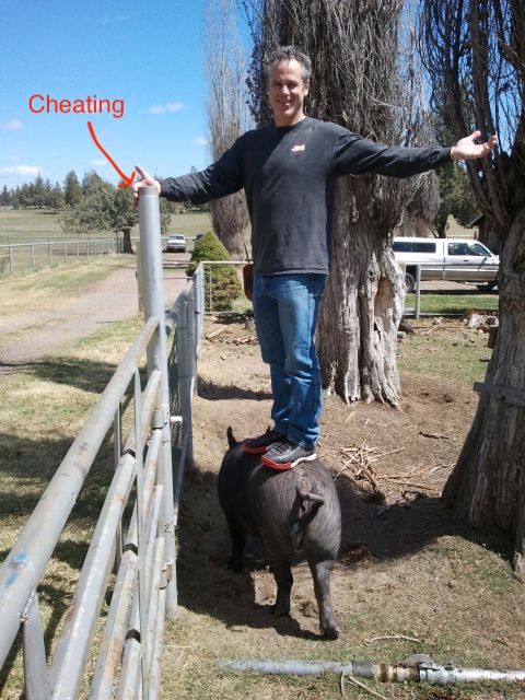 Michael Davis standing on top of a pig, arms outstretched, on a farm